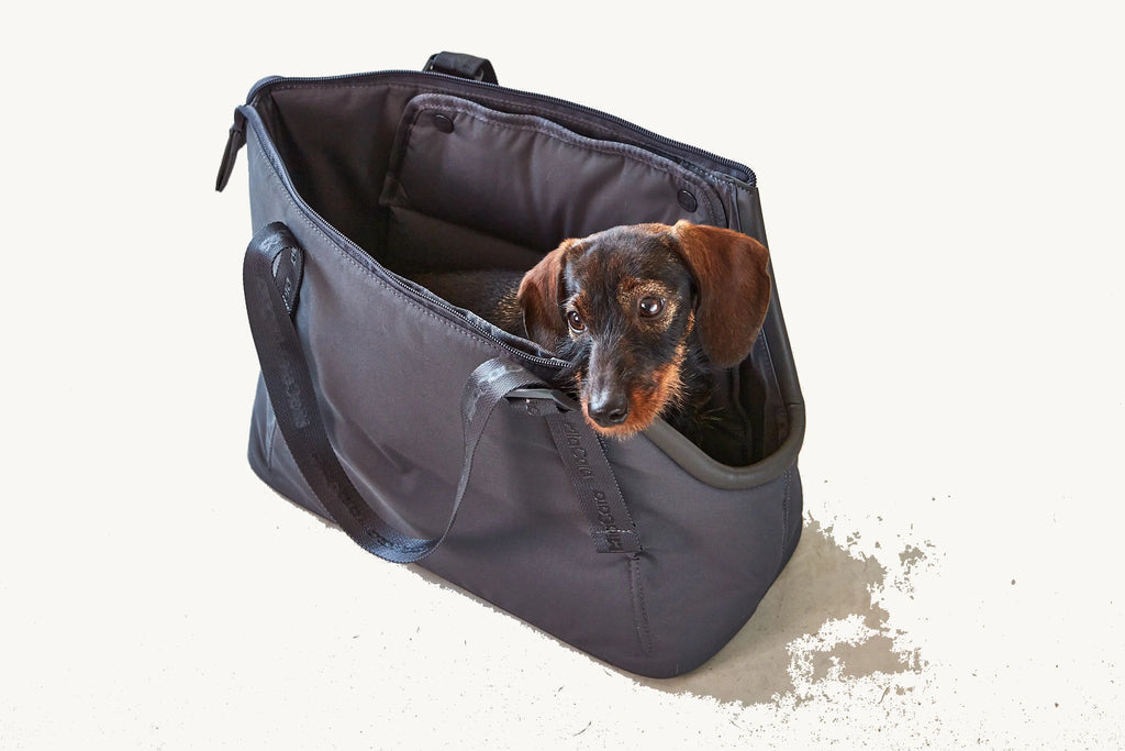 Sac Sporta asphalte – Sac photographié sous un angle trois quarts – Maison Canisya
