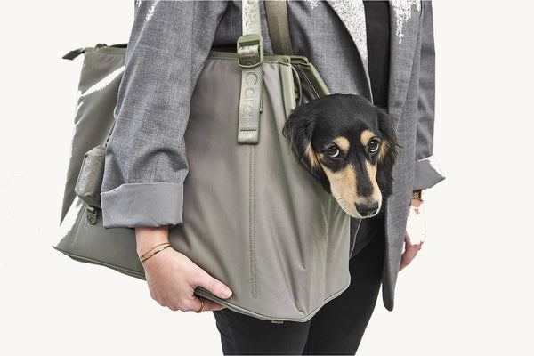 SPORTA — Sac de transport chien en polyester recyclé