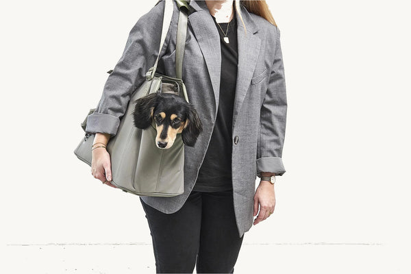 SPORTA — Sac de transport chien en polyester recyclé