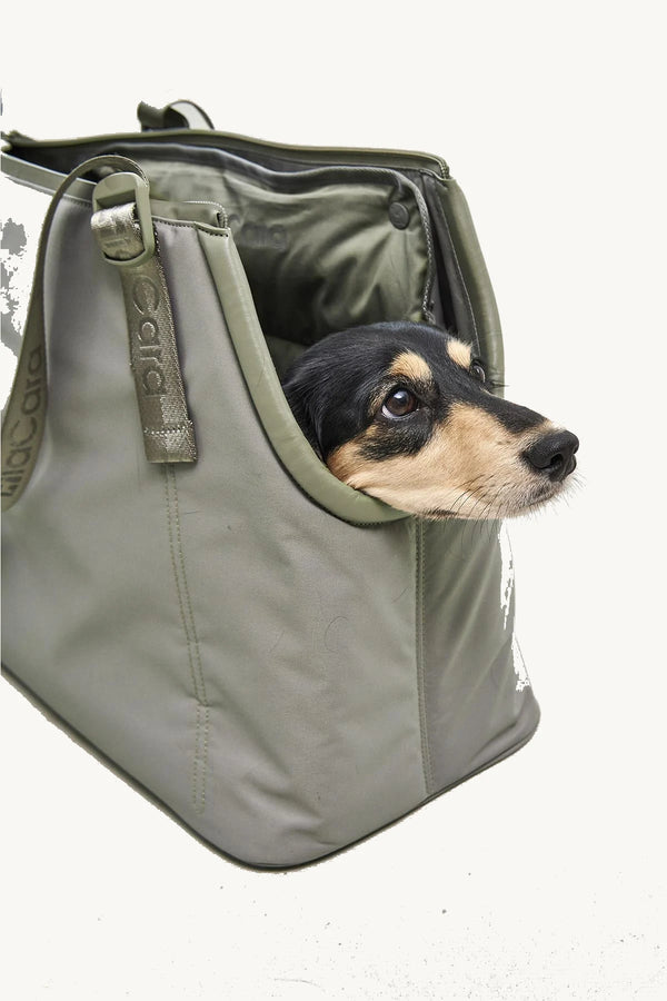 SPORTA — Sac de transport chien en polyester recyclé