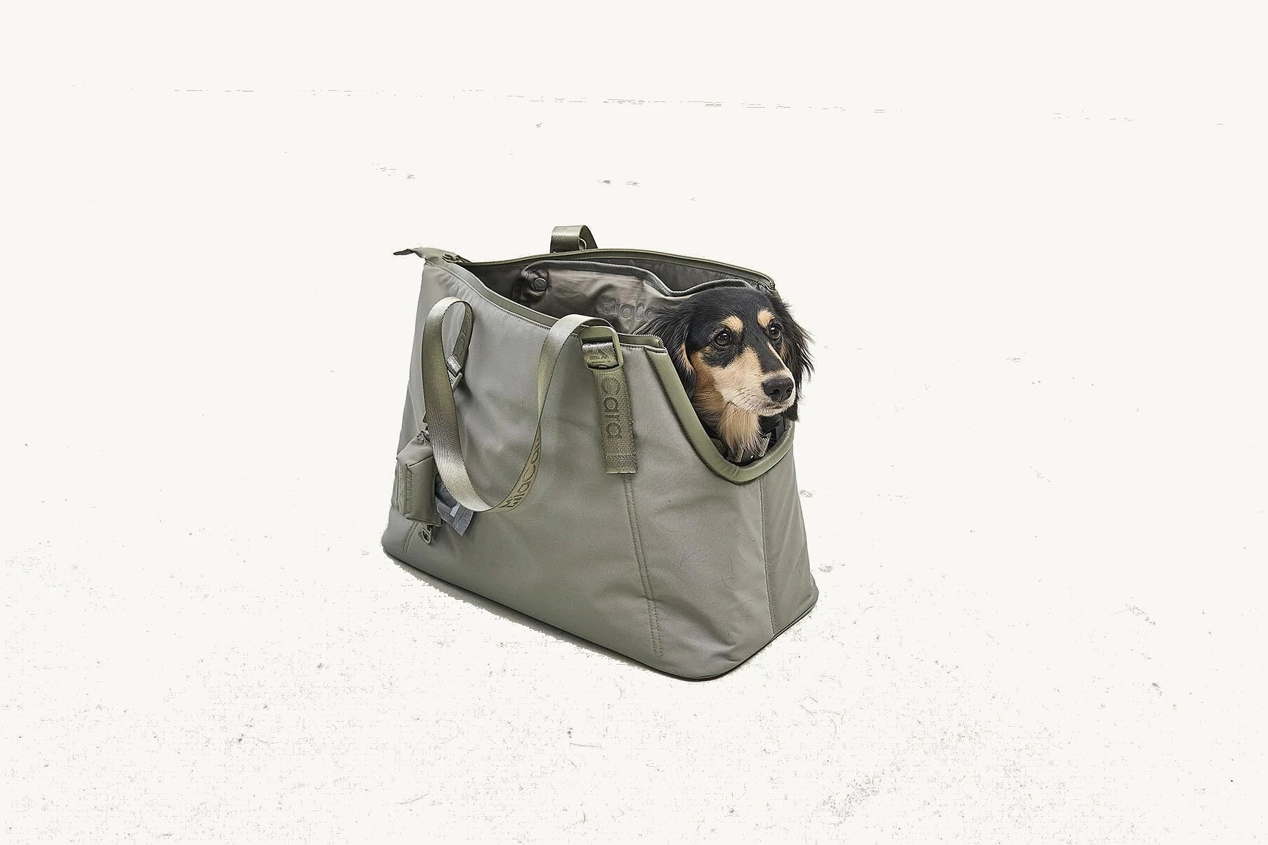 Sac Sporta grolive – Cabas photographié de face, posé au sol – Maison Canisya