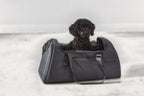 Sac de transport chien Volata – caniche noir assis dans le sac ouvert – Maison Canisya