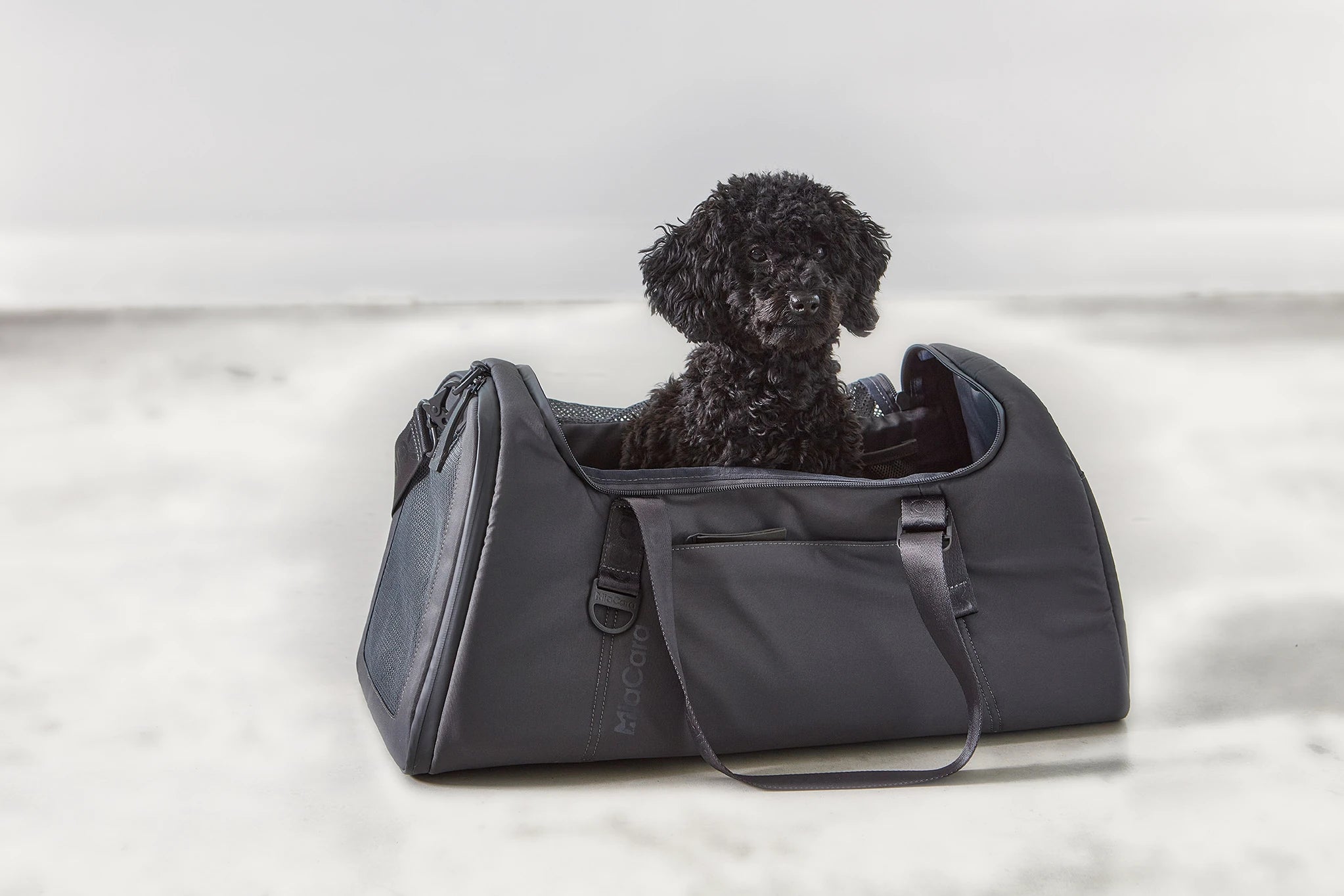 Sac de transport chien Volata – caniche noir assis dans le sac ouvert – Maison Canisya
