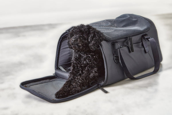 VOLATA — Sac de transport pour chien en polyester recyclé