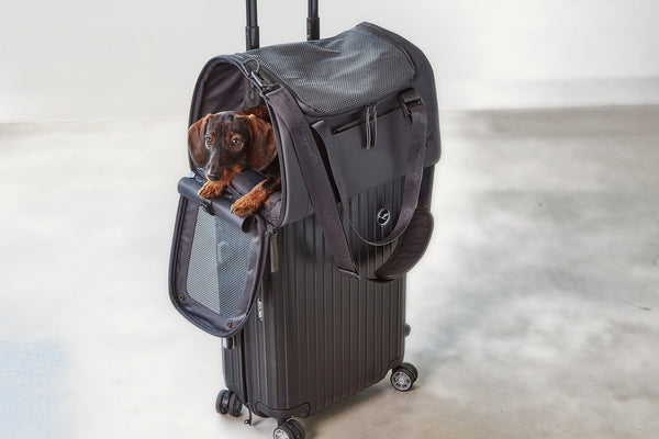 VOLATA — Sac de transport pour chien en polyester recyclé