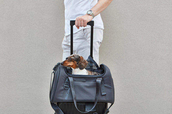 VOLATA — Sac de transport pour chien en polyester recyclé