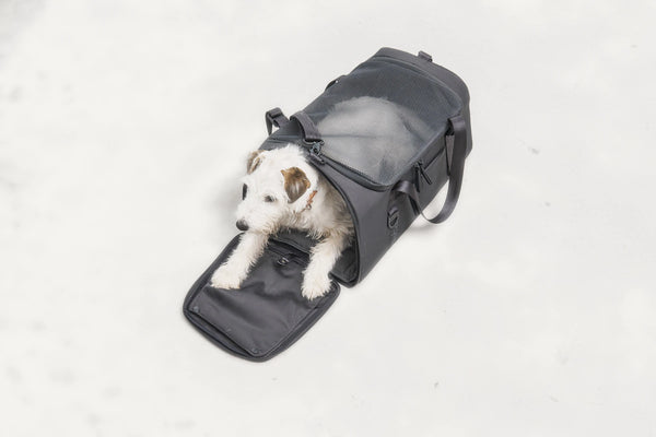 VOLATA — Sac de transport pour chien en polyester recyclé