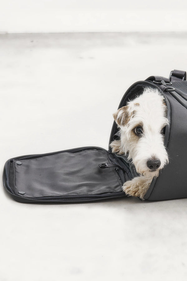 VOLATA — Sac de transport pour chien en polyester recyclé