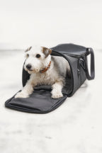 Sac de transport chien Volata – fox-terrier au regard curieux hors du sac – Maison Canisya