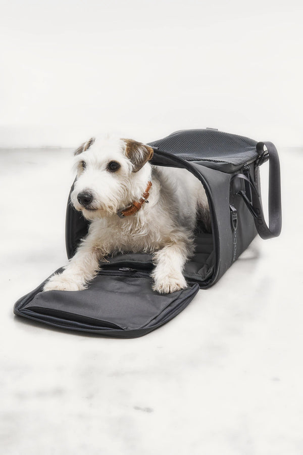 VOLATA — Sac de transport pour chien en polyester recyclé