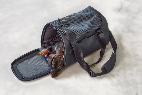 VOLATA — Sac de transport pour chien en polyester recyclé