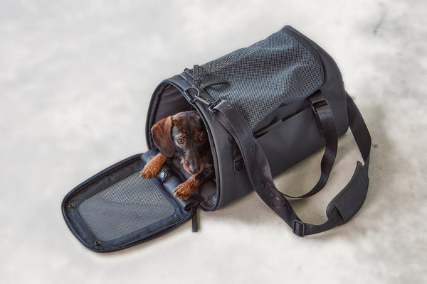 VOLATA — Sac de transport pour chien en polyester recyclé