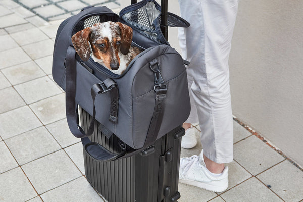 VOLATA — Sac de transport pour chien en polyester recyclé
