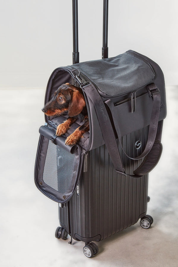 VOLATA — Sac de transport pour chien en polyester recyclé