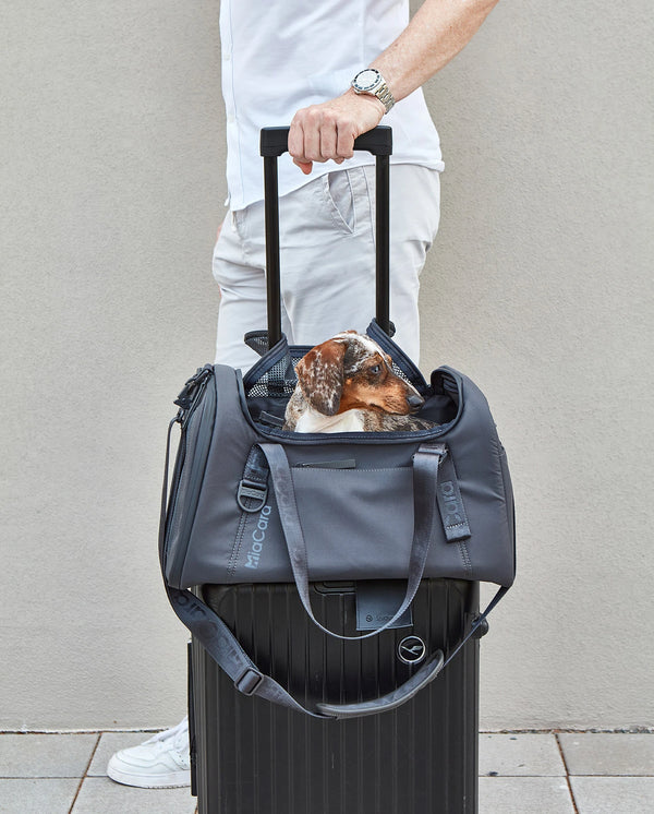 VOLATA — Sac de transport pour chien en polyester recyclé