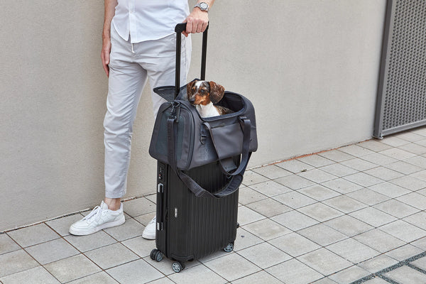 VOLATA — Sac de transport pour chien en polyester recyclé