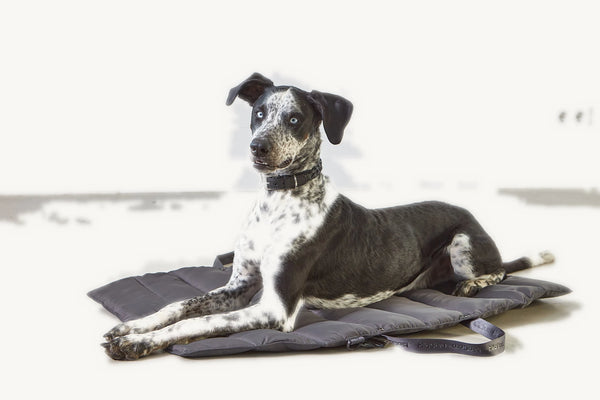 STRADA — Tapis de voyage matelassé pour chien, pliable et déperlant