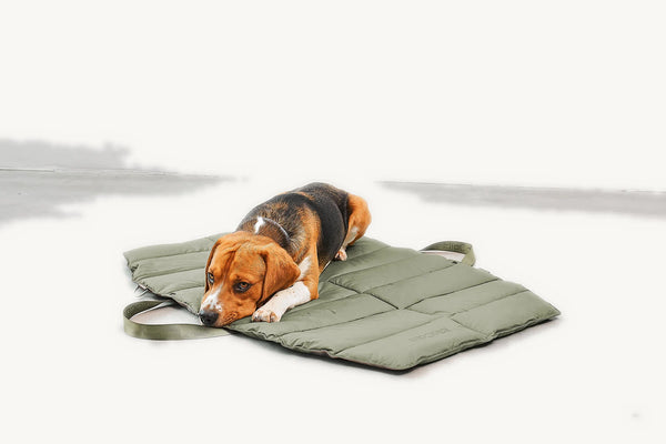 STRADA — Tapis de voyage matelassé pour chien, pliable et déperlant