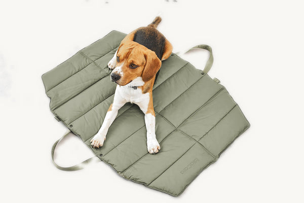 STRADA — Tapis de voyage matelassé pour chien, pliable et déperlant