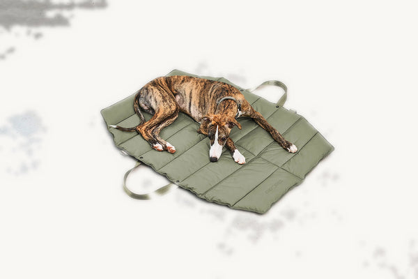STRADA — Tapis de voyage matelassé pour chien, pliable et déperlant