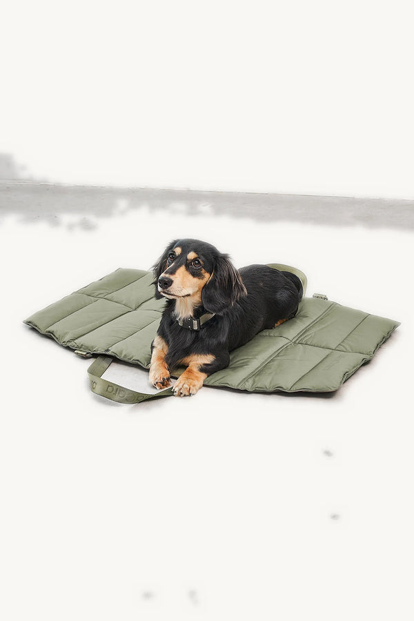 STRADA — Tapis de voyage matelassé pour chien, pliable et déperlant