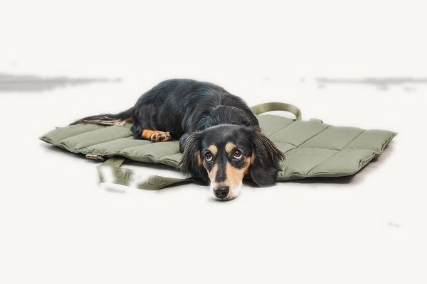 STRADA — Tapis de voyage matelassé pour chien, pliable et déperlant