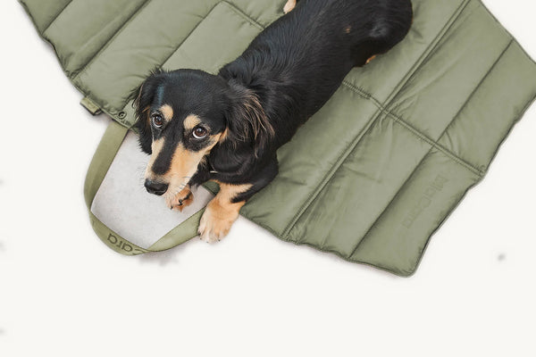 STRADA — Tapis de voyage matelassé pour chien, pliable et déperlant