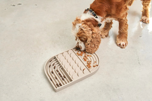 Cocker spaniel roux explorant le tapis de léchage Aperitivo chargé de friandises, vue en plongée — Maison Canisya