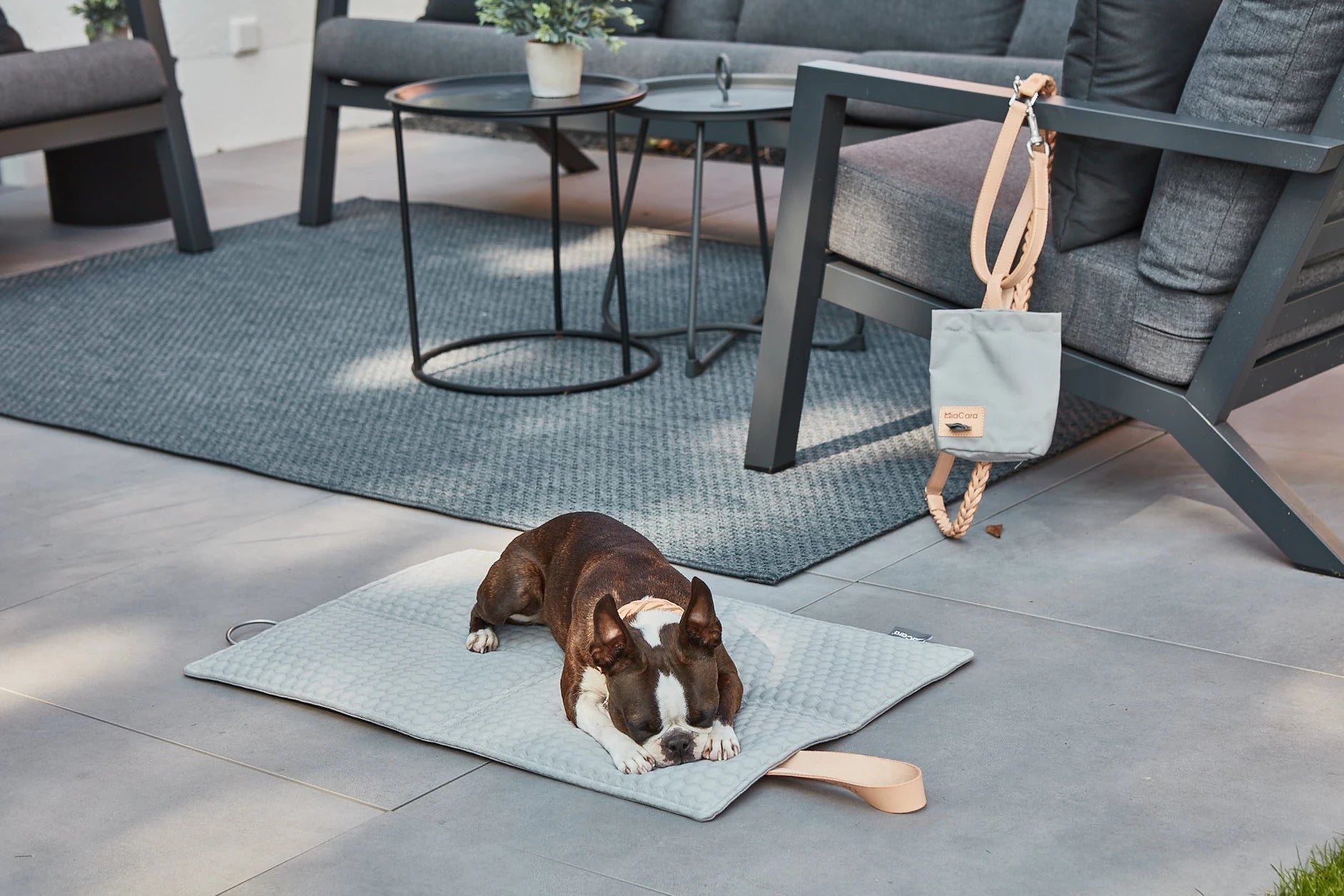Tapis de voyage Cosmo béton – chien allongé et détendu en extérieur – Maison Canisya