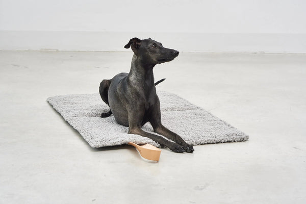COSMO SENSO — Le tapis de voyage bouclé, refuge nomade pour chaque escapade