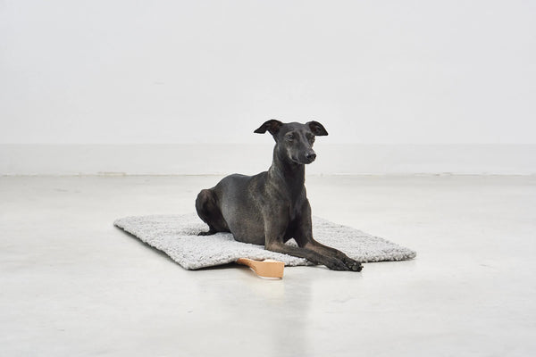 COSMO SENSO — Le tapis de voyage bouclé, refuge nomade pour chaque escapade