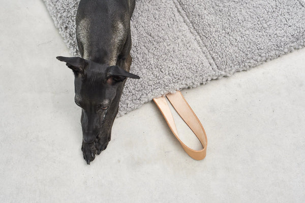 COSMO SENSO — Le tapis de voyage bouclé, refuge nomade pour chaque escapade