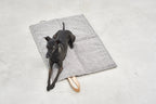 Tapis de voyage Cosmo Senso – vue de dessus, chien allongé sur le tapis – Maison Canisya