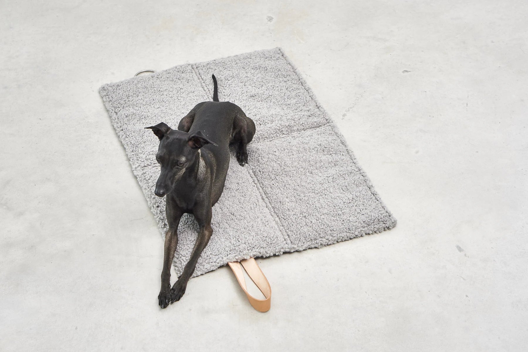 Tapis de voyage Cosmo Senso – vue de dessus, chien allongé sur le tapis – Maison Canisya