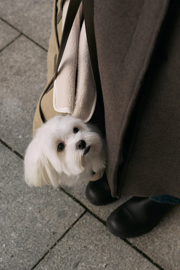 TASCA — Sac de transport souple pour chien, ligne Travel